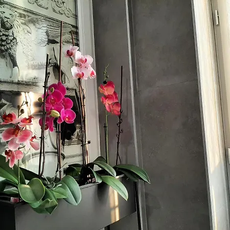 Welcome Guest house *